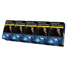  Camel Breeze