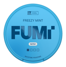  FUMi Freezy Mint Mini 4 MG
