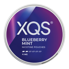  XQS Blueberry Mint 4 MG
