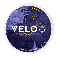  VELO Mango Ice - Tomorrowland