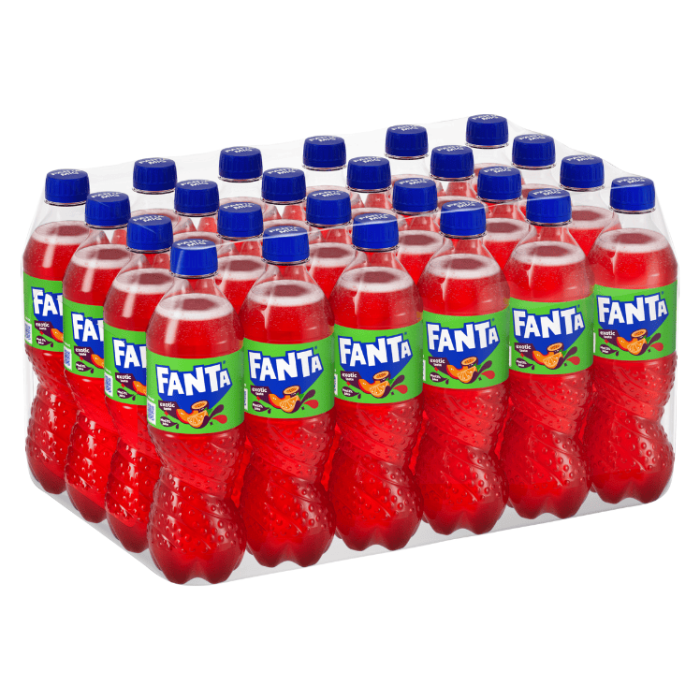 Fanta Fanta Exotic 24 X 50 CL