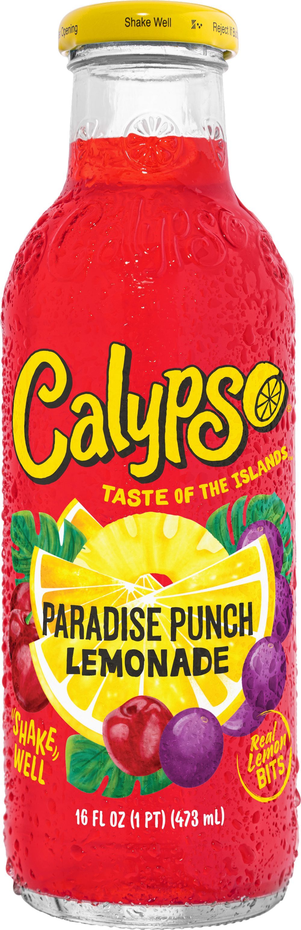 Calypso Paradise Punch Lemonade 12 X 473 ML - Samgross.se